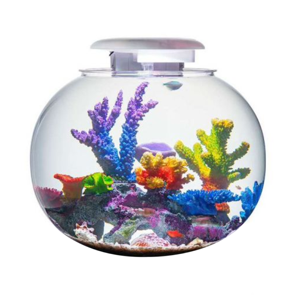 Aquarium uk